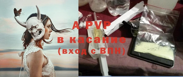 индика Коряжма