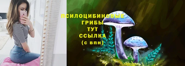 гидропоника Костерёво