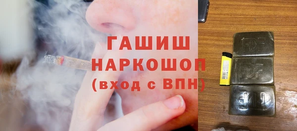 индика Коряжма