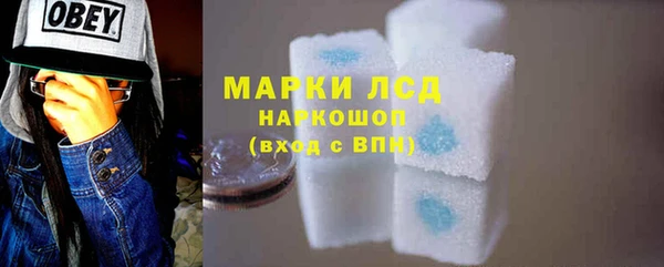 индика Коряжма