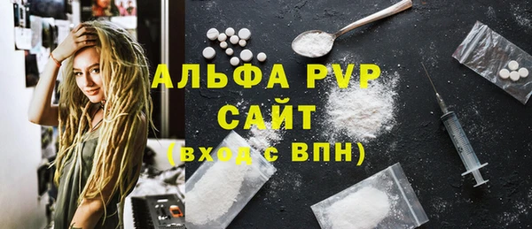 индика Коряжма