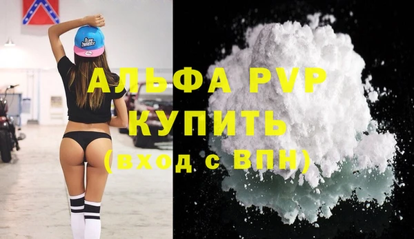 индика Коряжма