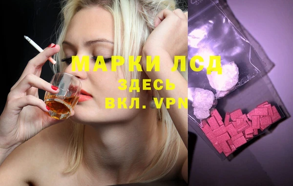 индика Коряжма