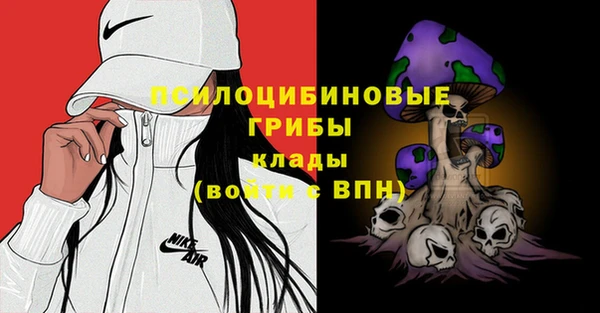 индика Коряжма