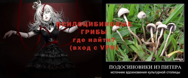 гидропоника Костерёво
