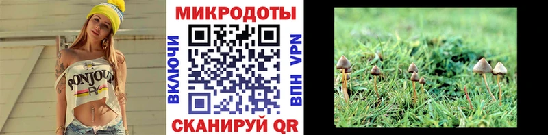 Псилоцибиновые грибы Psilocybe  ОМГ ОМГ вход  Ужур 